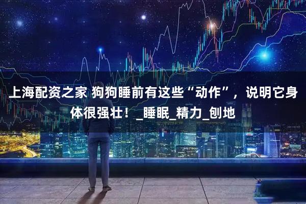 上海配资之家 狗狗睡前有这些“动作”，说明它身体很强壮！_睡眠_精力_刨地